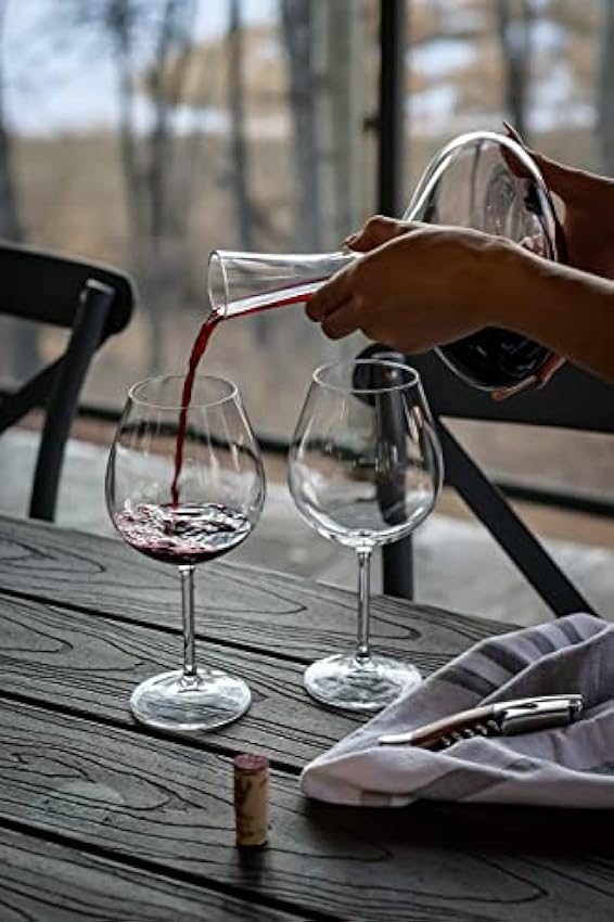 Dulong - Vin Rouge Merlot Cabernet - AOP Bordeaux - Origine France (6 x 0.75 l) nChNvQRx
